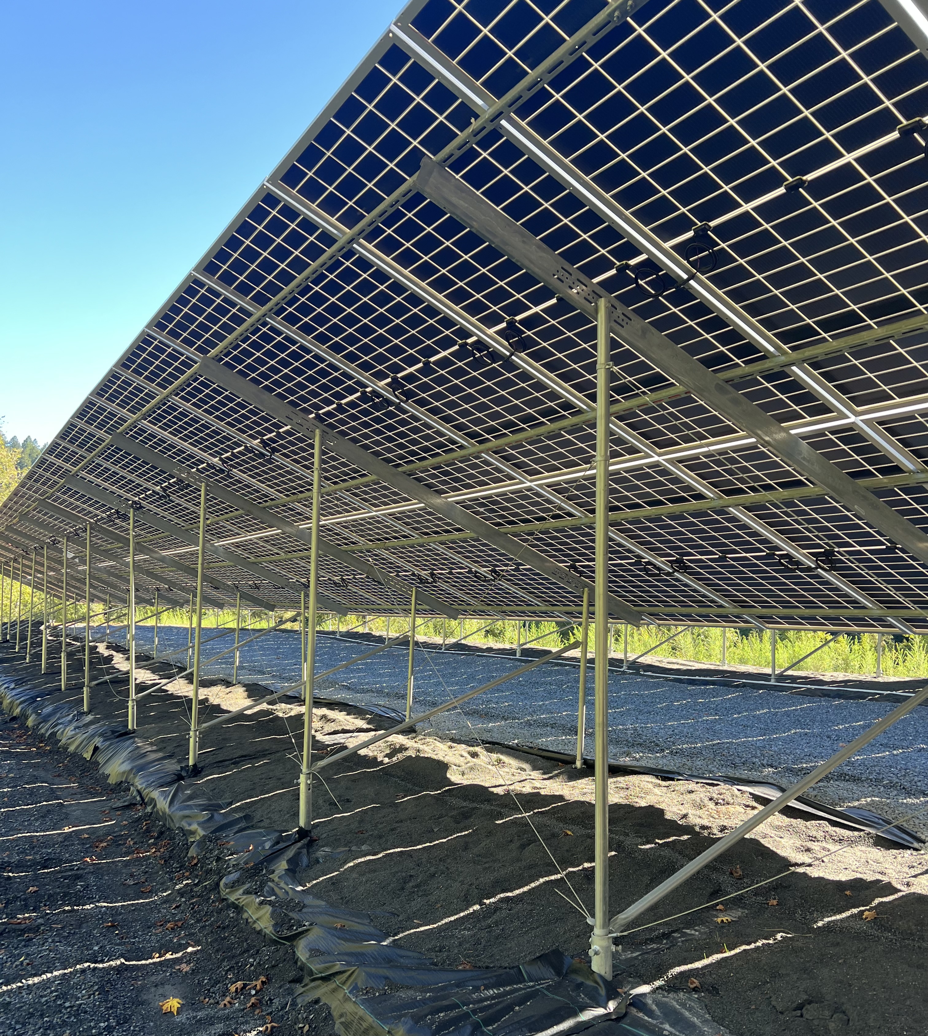 Catholic Charities solar